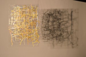 A journey into maps by Suvani Dave