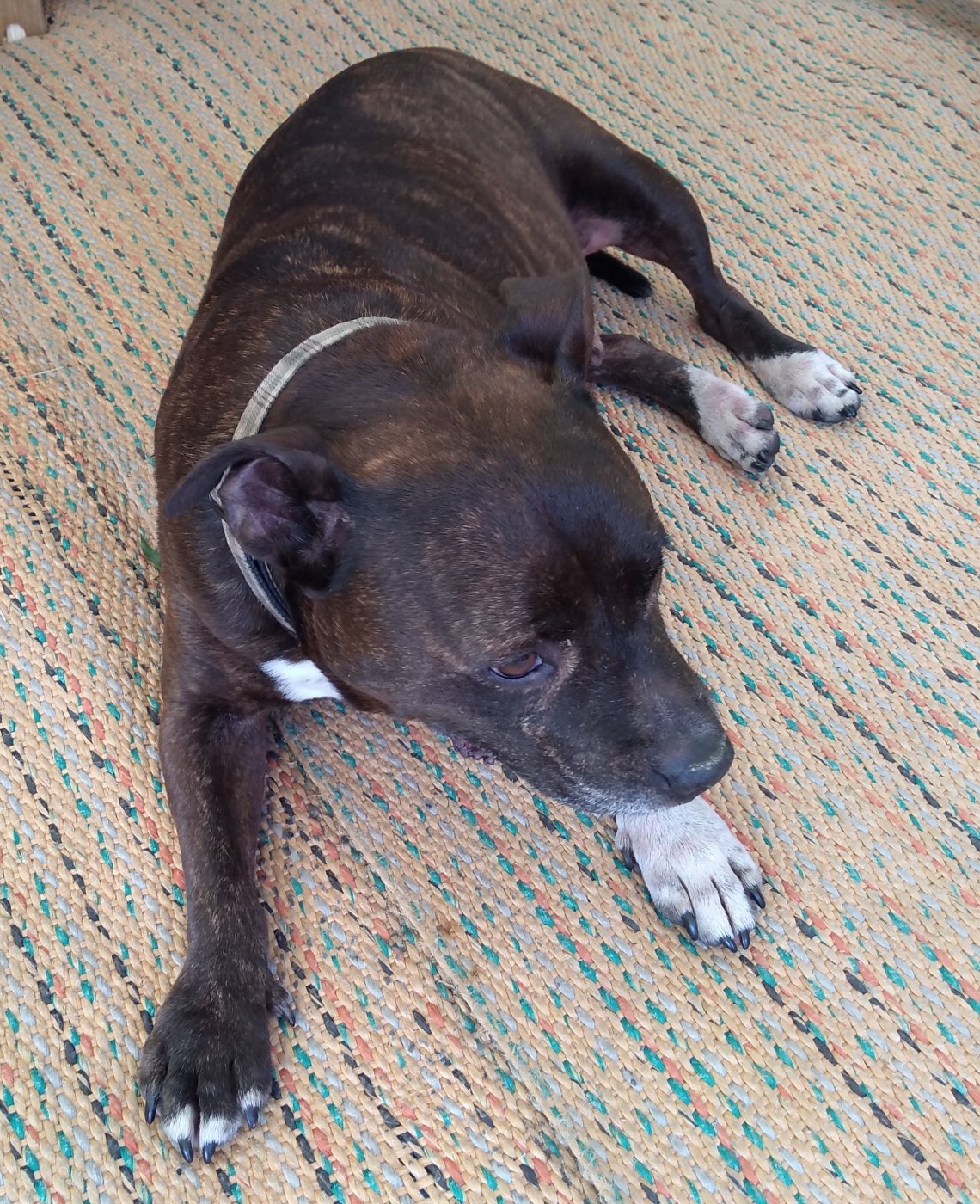 IMG_20190622_185057371